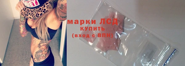 сатива Алзамай