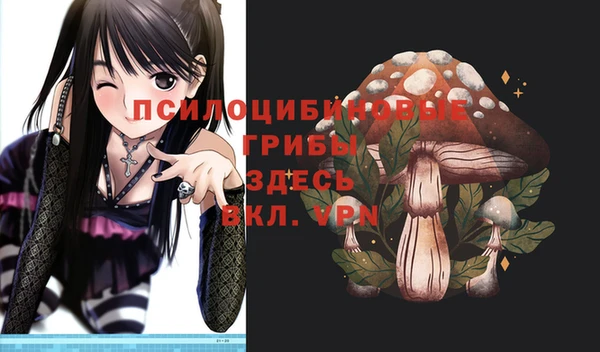 сатива Алзамай