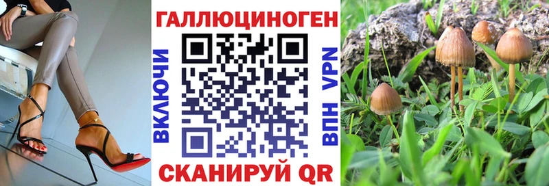 Псилоцибиновые грибы мухоморы  Грязовец 